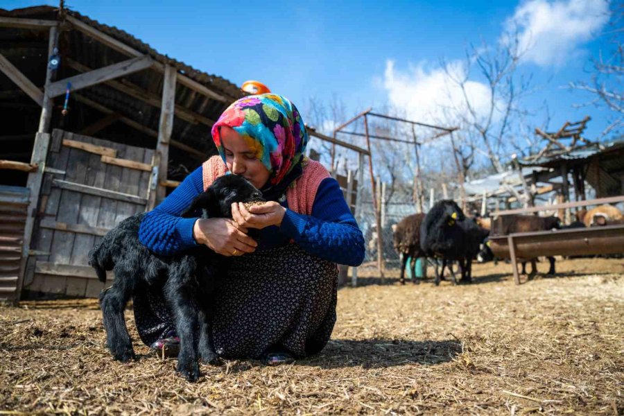 Kırsal Kalkınma Destekleri Köyden Kente Göçün Önüne Geçiyor