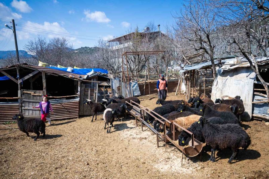 Kırsal Kalkınma Destekleri Köyden Kente Göçün Önüne Geçiyor