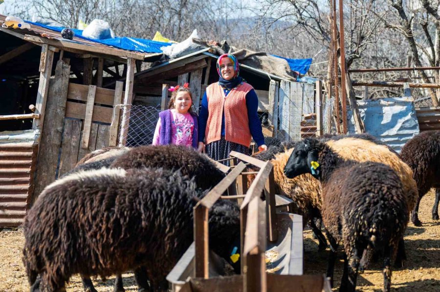 Kırsal Kalkınma Destekleri Köyden Kente Göçün Önüne Geçiyor