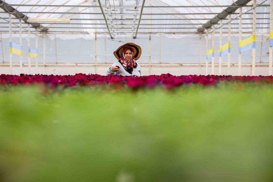 Antalya’nın Her Alanına ‘kadın’ Damgası