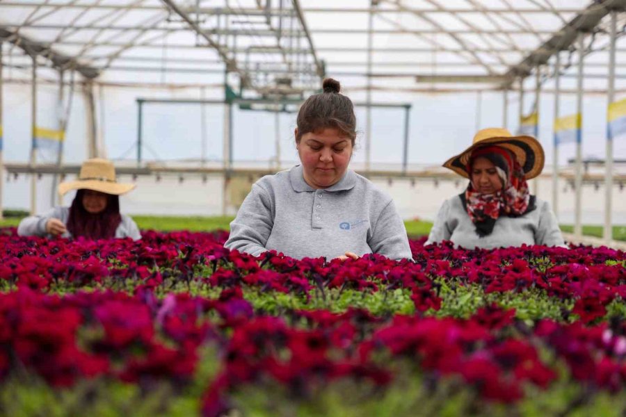 Antalya’nın Her Alanına ‘kadın’ Damgası