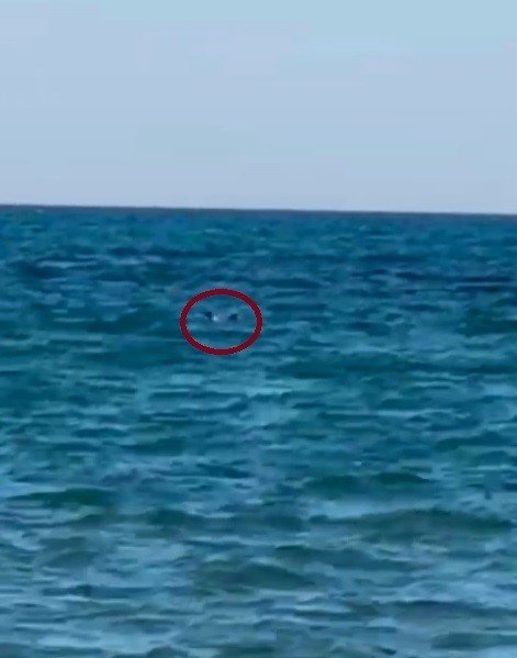 Zıpkınla Balık Avlarken Boğuldu