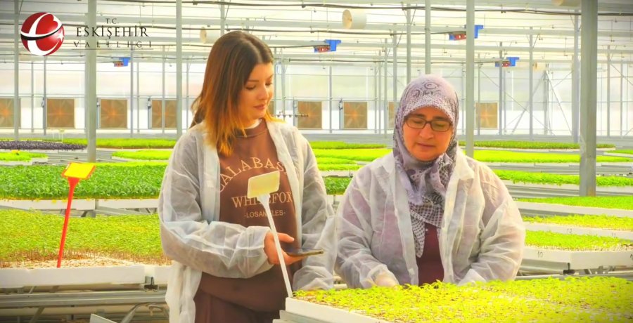 Eskişehir, Kadınlar Sayesinde Roka Üretiminde Türkiye Birincisi
