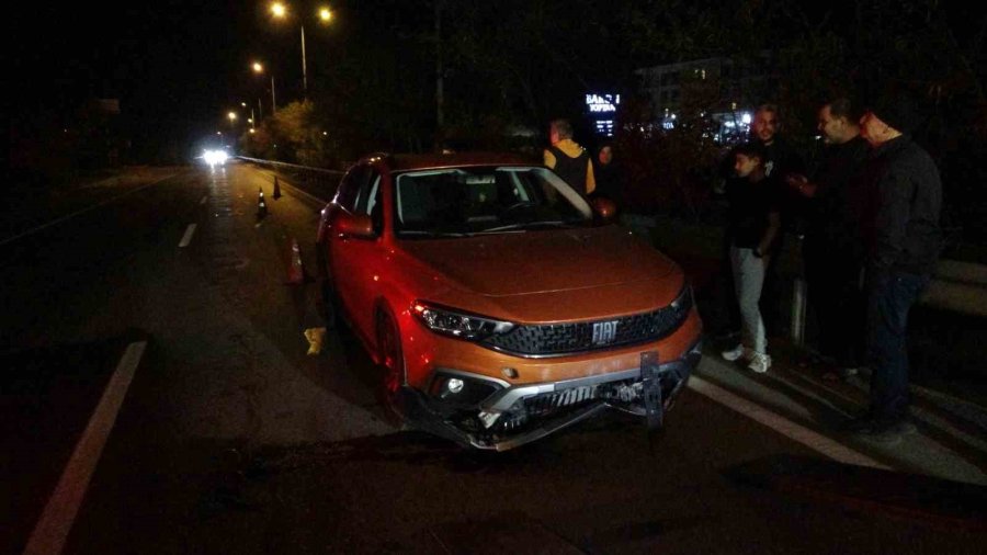 Sürü Halinde Yola Fırlayan Sokak Köpekleri Aynı Anda 2 Ayrı Kazaya Sebep Oldu