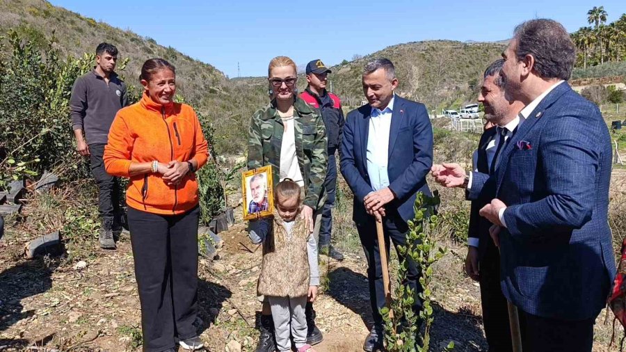 İlhan Özay Hatıra Ormanı’nda Fidan Dikimi Yapıldı