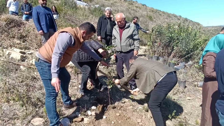 İlhan Özay Hatıra Ormanı’nda Fidan Dikimi Yapıldı