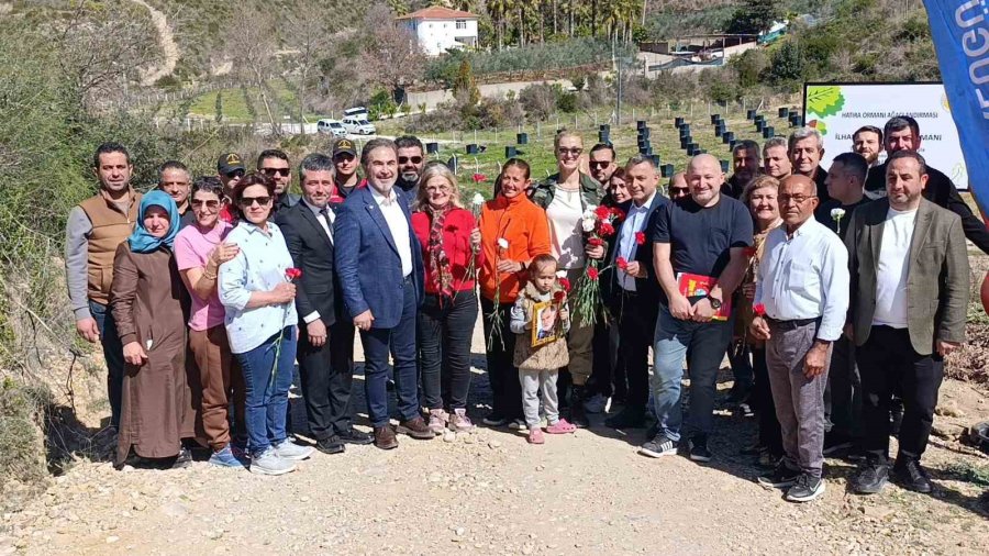 İlhan Özay Hatıra Ormanı’nda Fidan Dikimi Yapıldı