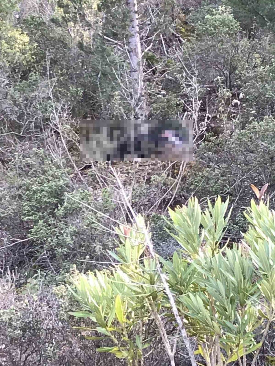 Ormanlık Alanda 4 Yıl Önceki Kesik Baş Cinayetinde Gencin ’define’ Kurbanı Olduğu Ortaya Çıktı