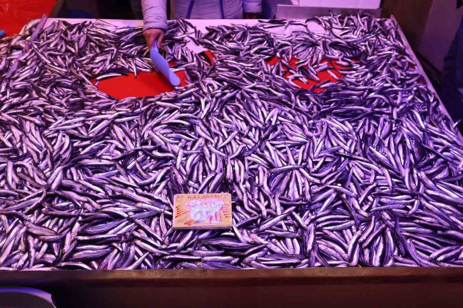 Artan Sıcaklıklarda Balık Nasıl Saklanmalı