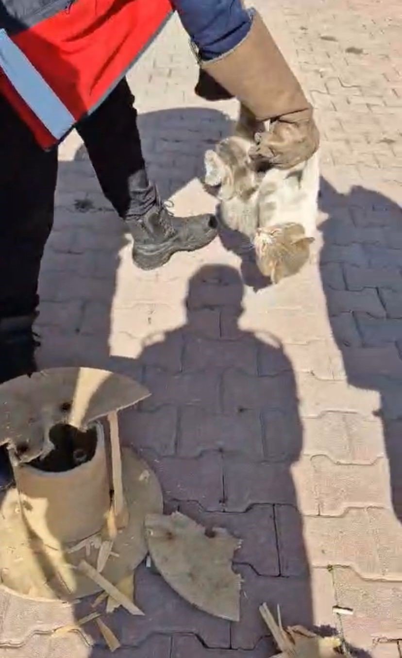 Ahşap Makaraya Sıkışan Yaramaz Kediyi İtfaiye Kurtardı