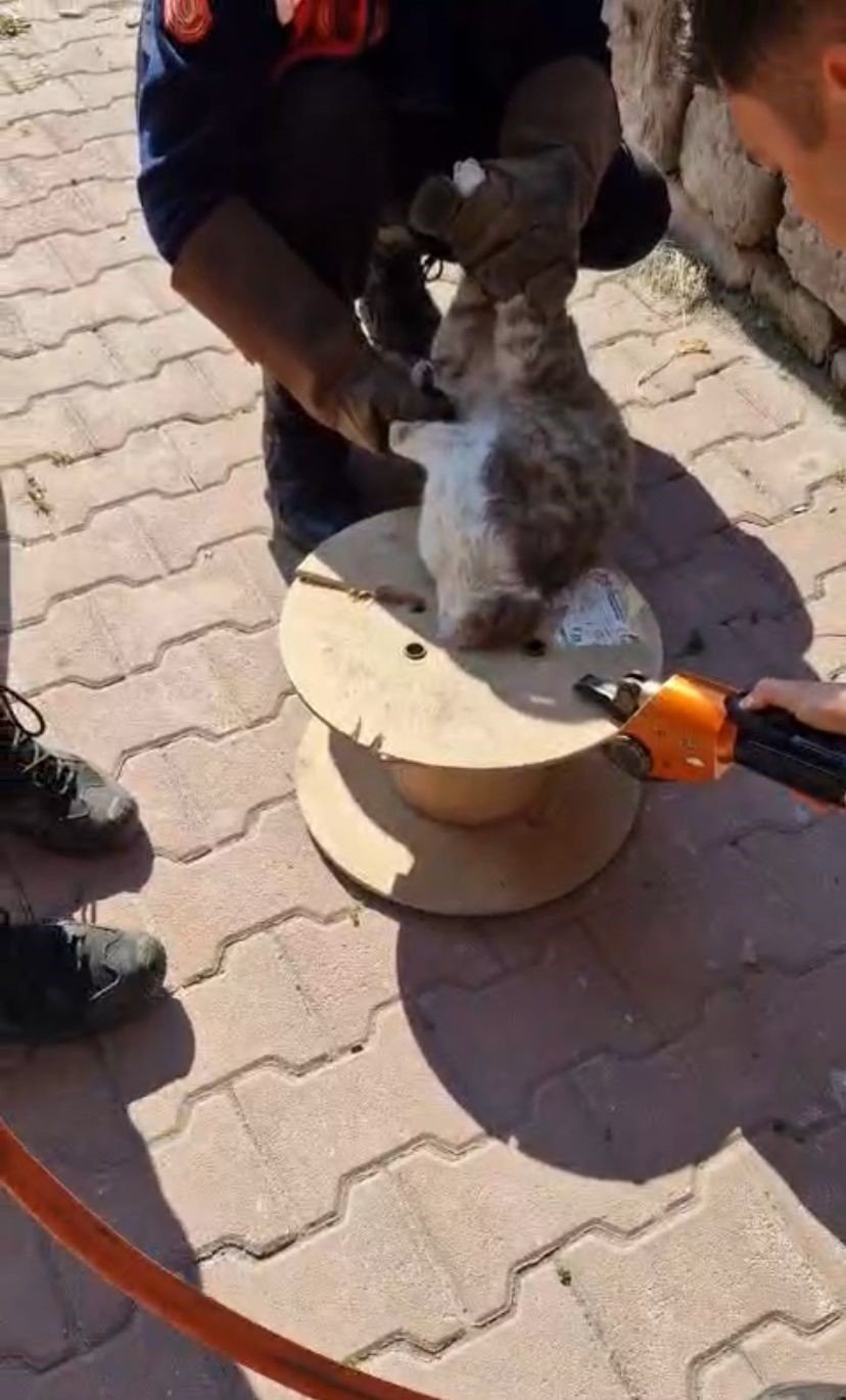 Ahşap Makaraya Sıkışan Yaramaz Kediyi İtfaiye Kurtardı
