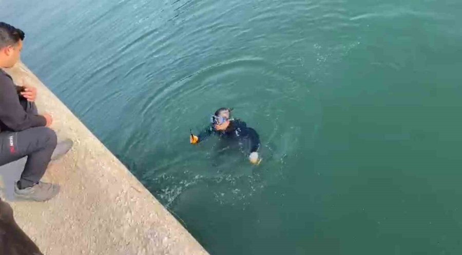 Denize Düşen Telefonu Dalgıç İtfaiye Eri Çıkardı