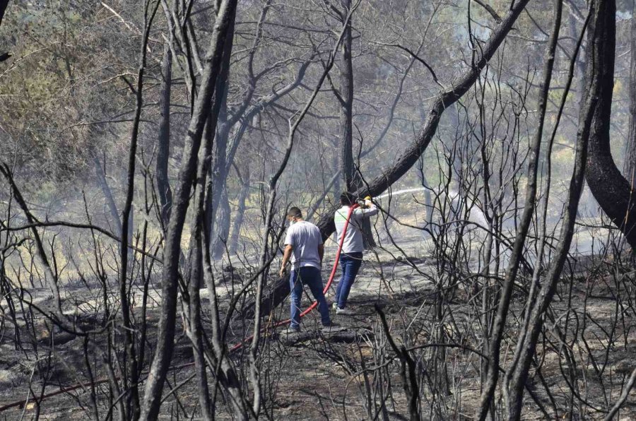 Mersin’de Orman Yangını: 1,5 Hektar Alan Zarar Gördü