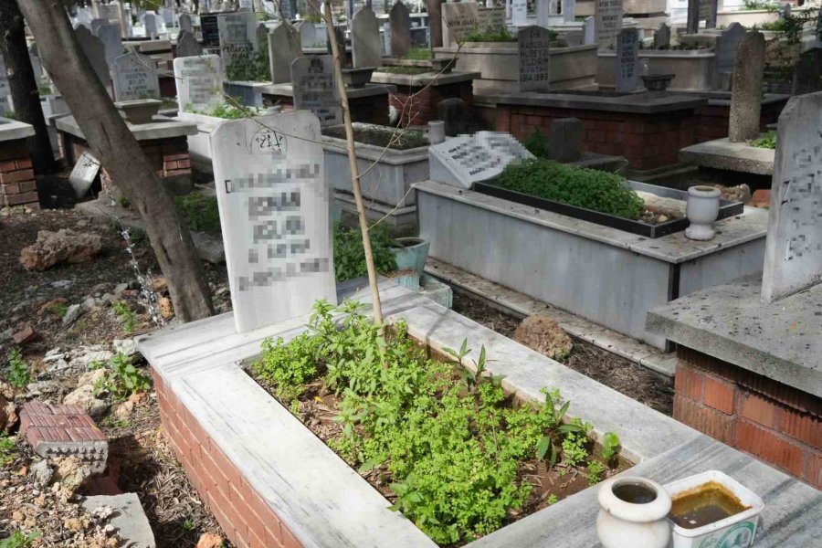 Yaptıkları Paylaşımla Tepki Çeken Genç Kızlar, Mezarlığa Farklı Kıyafetlerle Girmişler