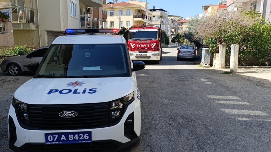 Elektrik Baksına Giren Kedi Akıma Kapılarak Telef Oldu