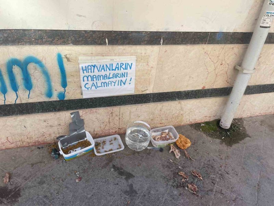 Eskişehir’de ‘hayvanların Mamalarını Çalmayın!’ Uyarısı