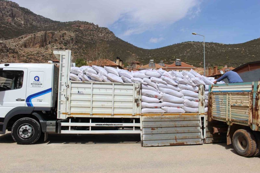 Büyükşehir’in Üreticilere Yem Desteği Sürüyor