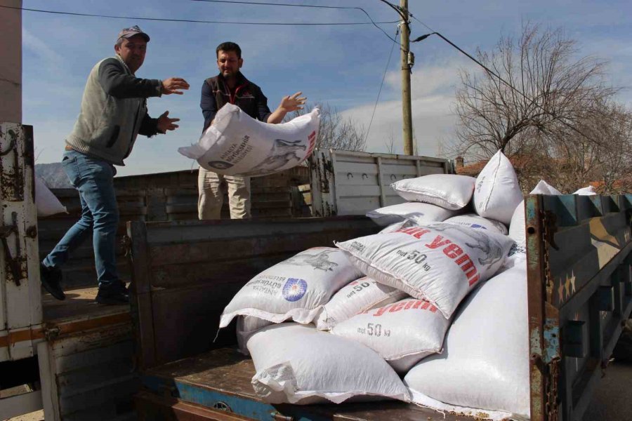 Büyükşehir’in Üreticilere Yem Desteği Sürüyor