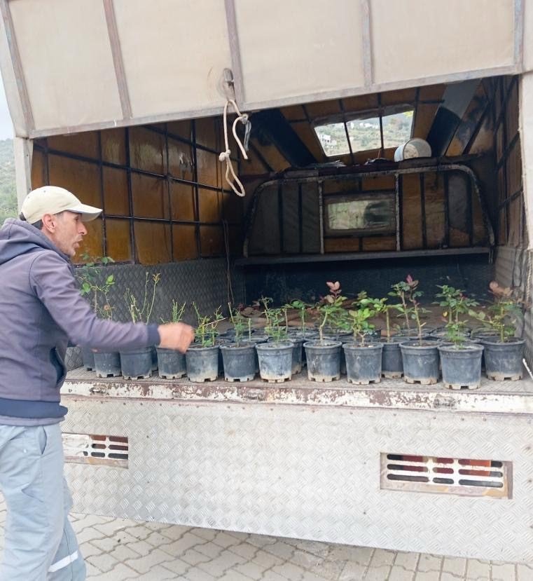 Gazipaşa’da, Bolu’daki Otel Yangınında Ölen 36 Çocuk Anısına Gül Dikildi