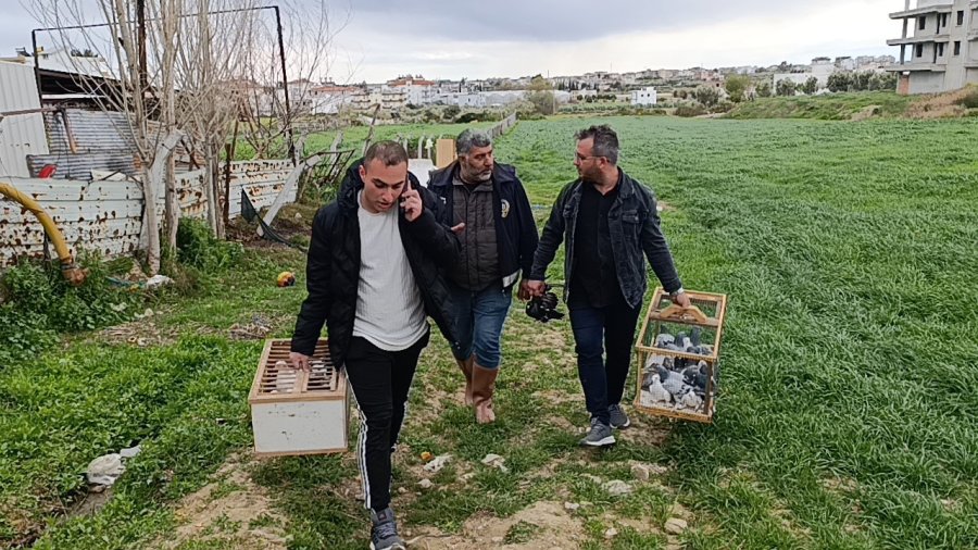 Antalya’da 3 Ayrı Adresten Çalınan 95 Güvercin, Boş Arazideki Kümeste Bulundu