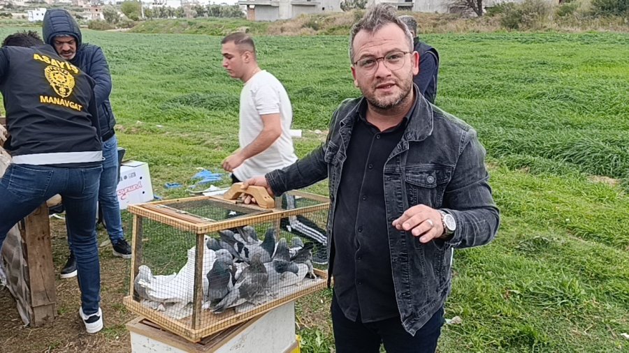 Antalya’da 3 Ayrı Adresten Çalınan 95 Güvercin, Boş Arazideki Kümeste Bulundu