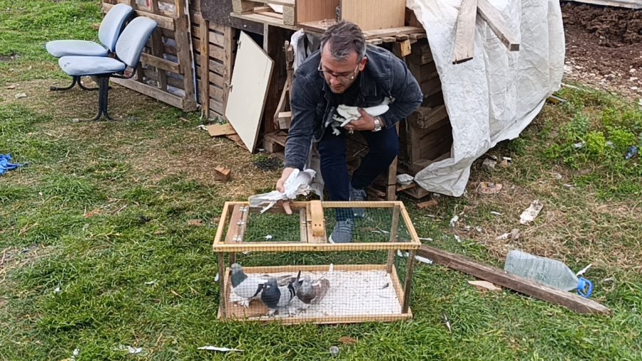 Antalya’da 3 Ayrı Adresten Çalınan 95 Güvercin, Boş Arazideki Kümeste Bulundu