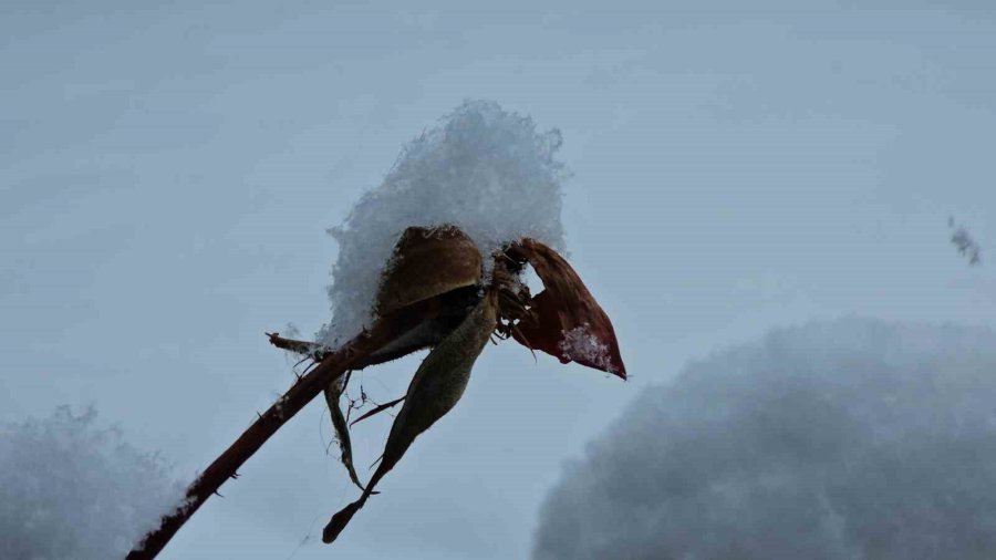 Kayseri’de Lapa Lapa Kar Yağdı