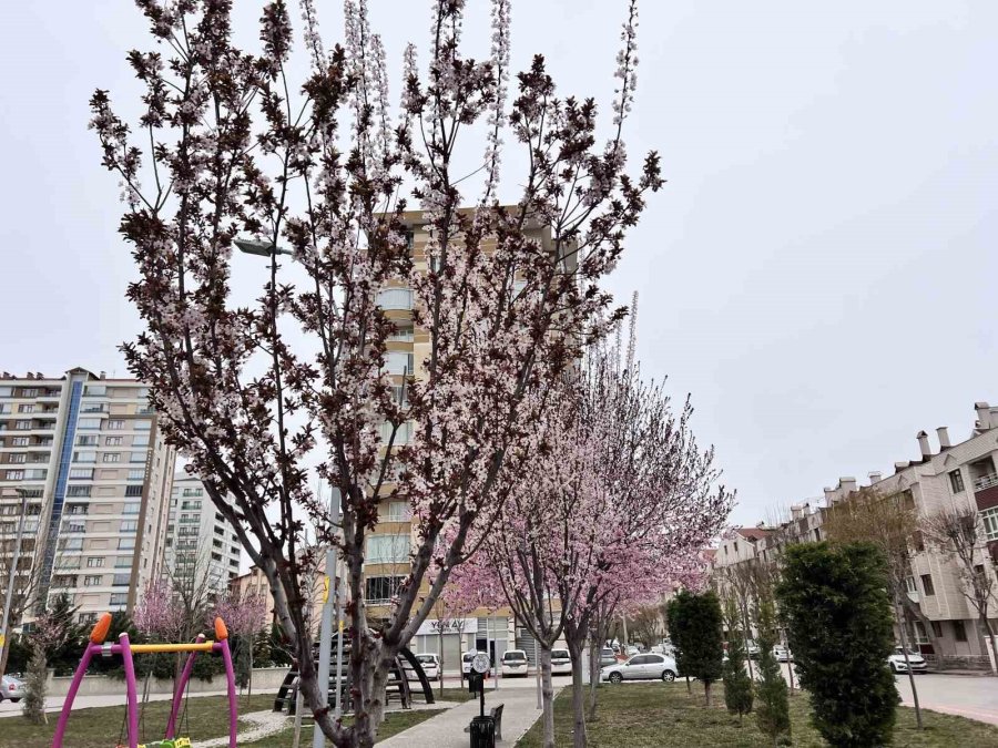 Kar Hububatta Sevindirdi, Don Meyve Ve Sebzede Endişe Getirdi