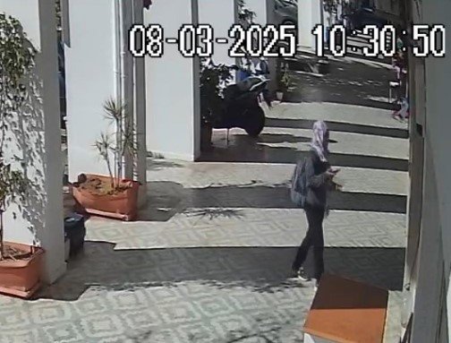 Engelli ’karam’ Geri Geldi, Kediyi Götüren Genç Kadın Veterinerlik Öğrencisi Çıktı: "tedavi Ettirmek İçin Aldım"