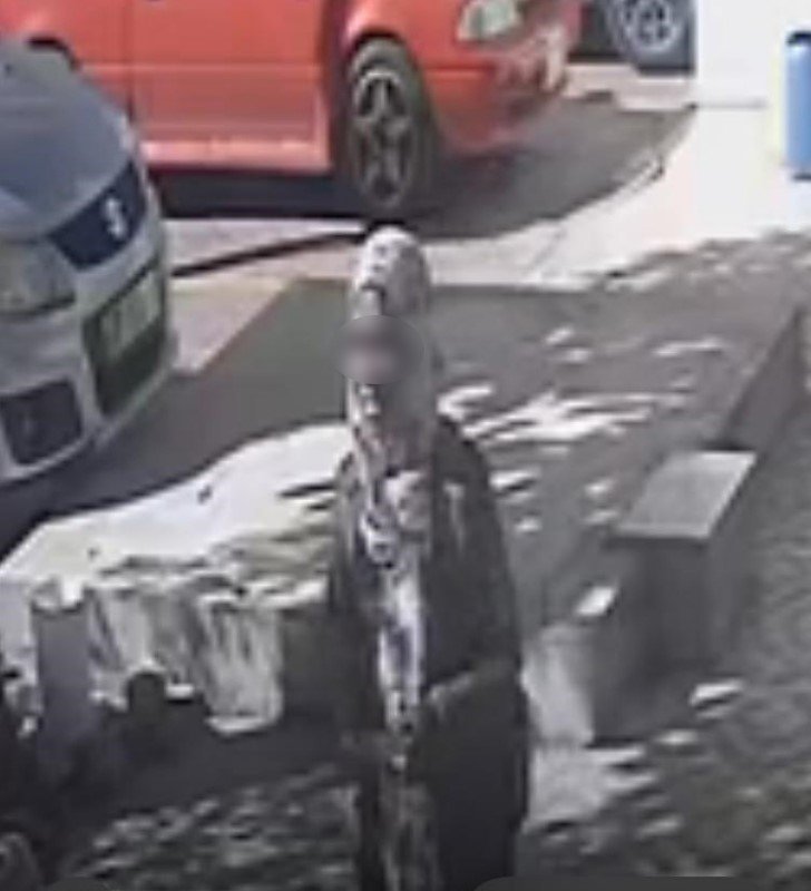 Engelli ’karam’ Geri Geldi, Kediyi Götüren Genç Kadın Veterinerlik Öğrencisi Çıktı: "tedavi Ettirmek İçin Aldım"