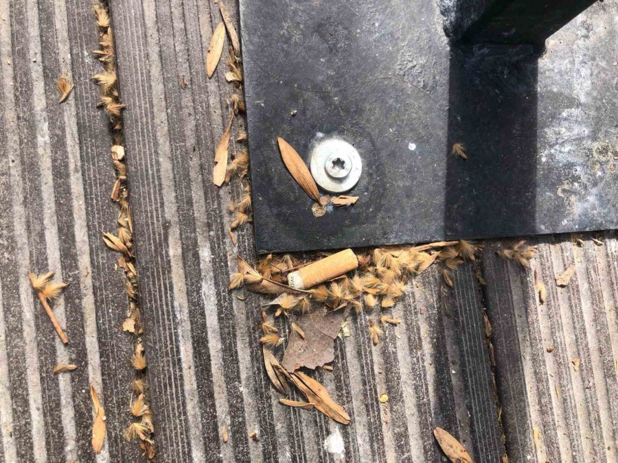 Duyarsızlar Kural Tanımıyor