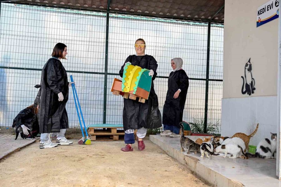 Mersin’de Gönüllüler Patili Dostlarına Destek Oluyor