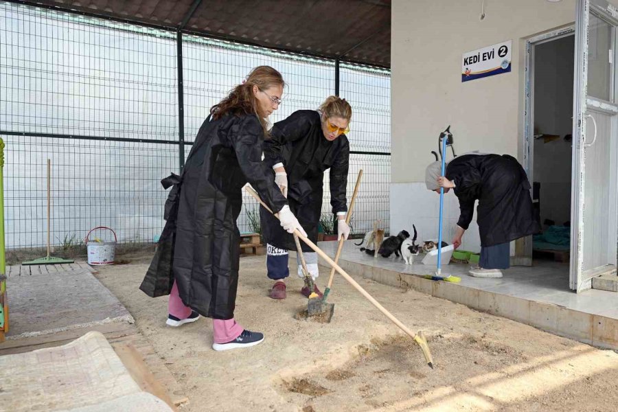 Mersin’de Gönüllüler Patili Dostlarına Destek Oluyor
