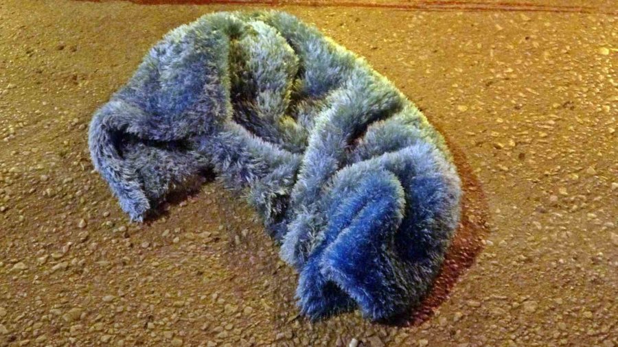 Özel Halk Otobüsüyle Çarpışan Araçtan Yola Fırlayan Genç Kız Hayatını Kaybetti