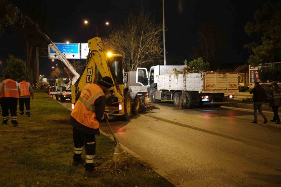 Büyükşehir’den Gece Budama Çalışması