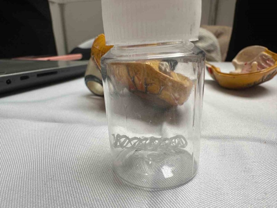 Lise Öğrencilerinden ‘nano Parçacıklı’ Stent