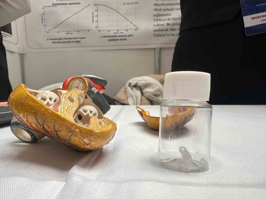Lise Öğrencilerinden ‘nano Parçacıklı’ Stent