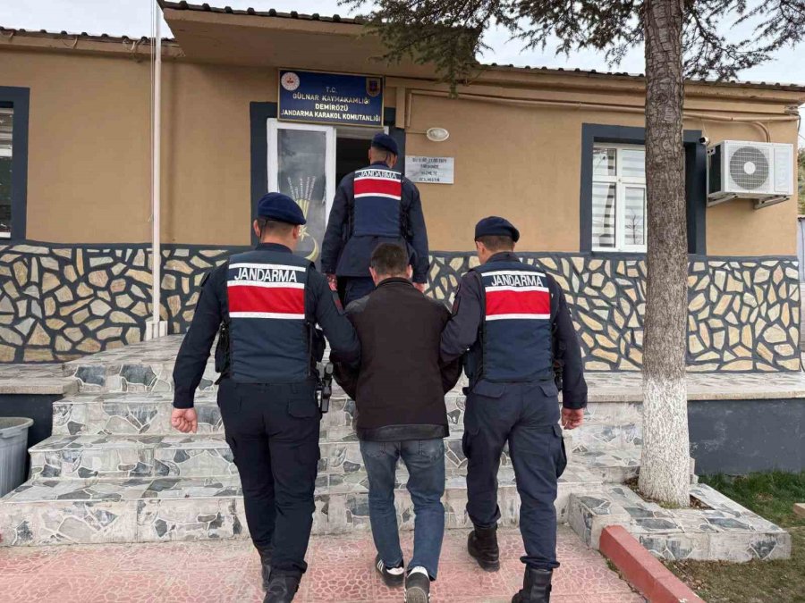 Mersin’de 16 Hayvanı Çalan Şüpheli Yakalanıp Tutuklandı