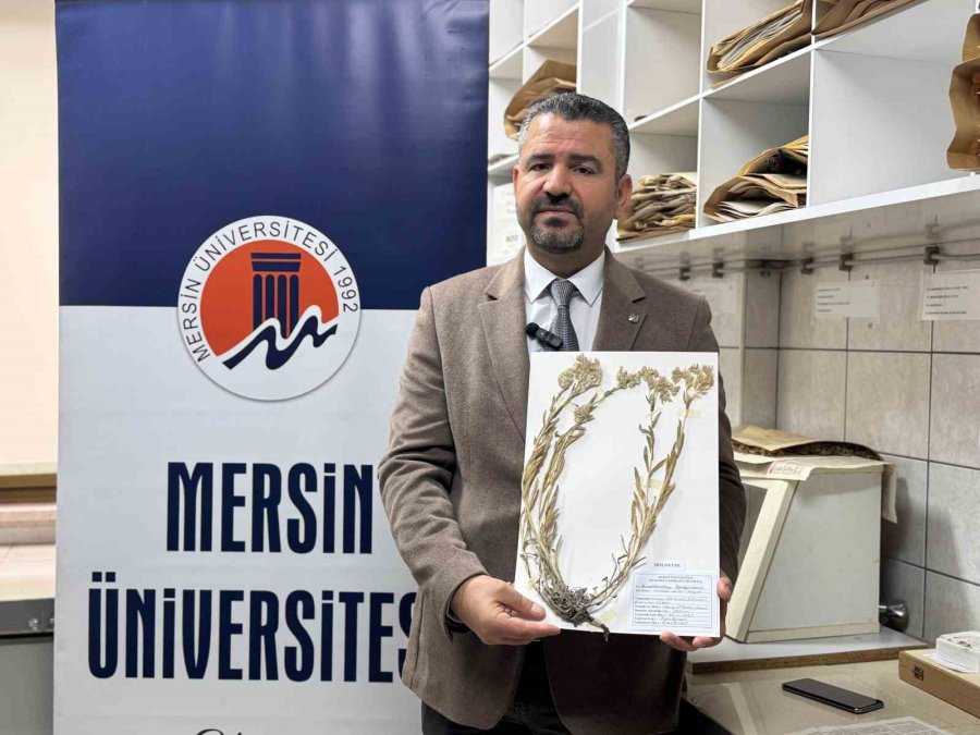 Yeni Bitki Türü Keşfedildi: Bitkiye Hayatını Kaybeden Öğretim Üyesinin Adı Verildi