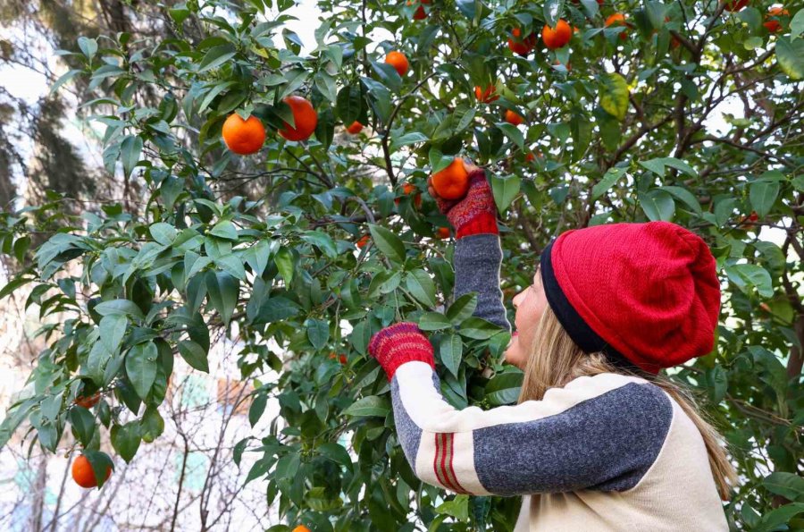 Antalya Büyükşehir Belediyesi’nden Kadınlara Üretim Desteği