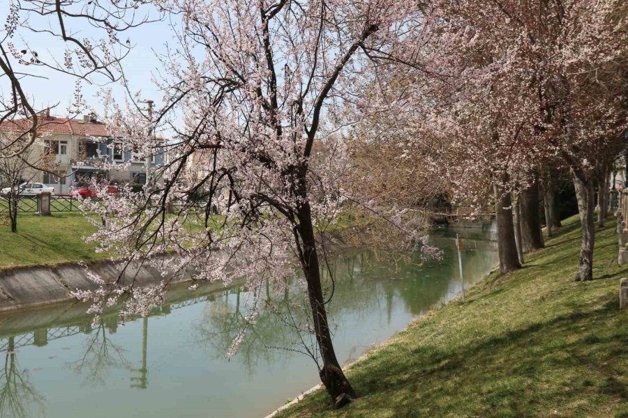 Eskişehir’de Rengarenk Manzaralar Mest Etti
