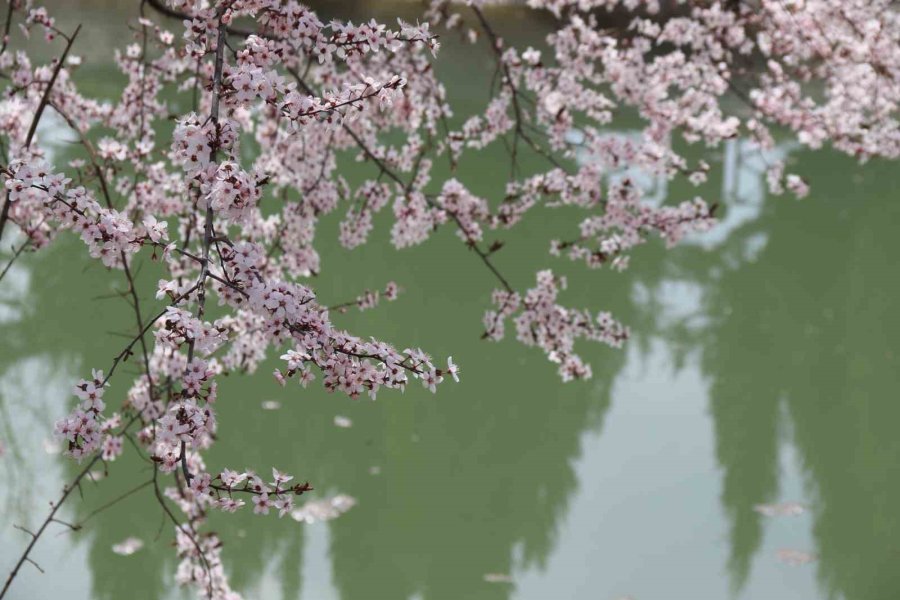 Eskişehir’de Rengarenk Manzaralar Mest Etti