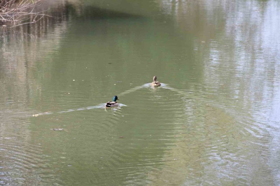 Eskişehirliler Hafta Sonu Kanlıkavak Parkı’na Akın Etti