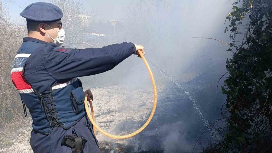 Yangın, Jandarma Ve İtfaiyenin Müdahalesi Söndürüldü