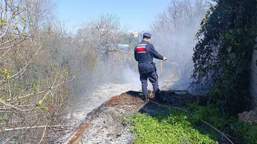 Yangın, Jandarma Ve İtfaiyenin Müdahalesi Söndürüldü