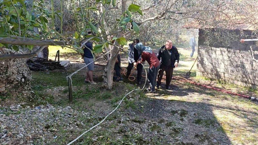 Yangın, Jandarma Ve İtfaiyenin Müdahalesi Söndürüldü
