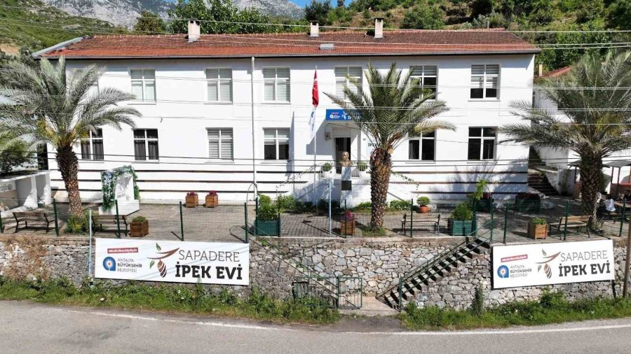 Alanya’da 7 Üreticiye Dut Fidanı Desteği