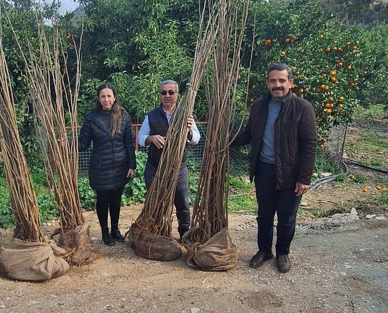 Alanya’da 7 Üreticiye Dut Fidanı Desteği