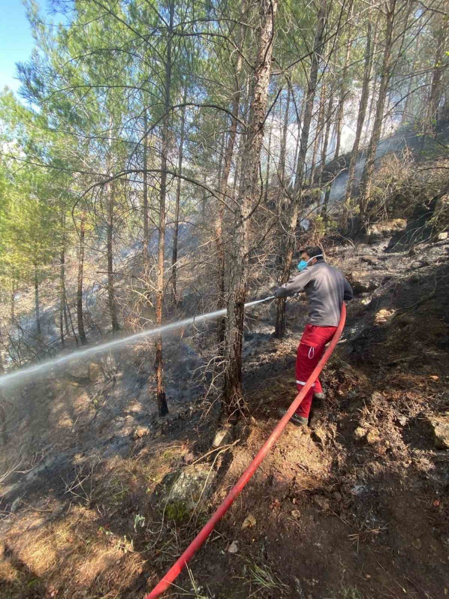 Gazipaşa’daki Orman Yangını Kontrol Altına Alındı