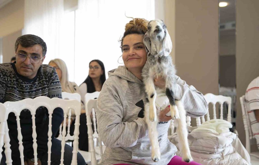 Yerel Hayvan Koruma Görevlileri, Gönüllü Olarak Çalışmaya Devam Edecek